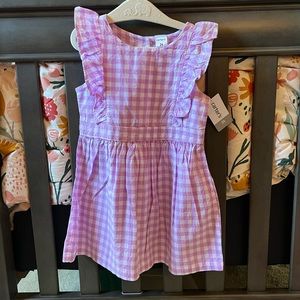 NWT 2T Carters Dress